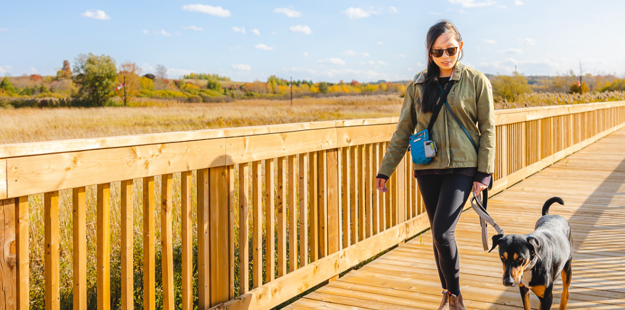 A woman walks her dog over a wooden bridge in a park.